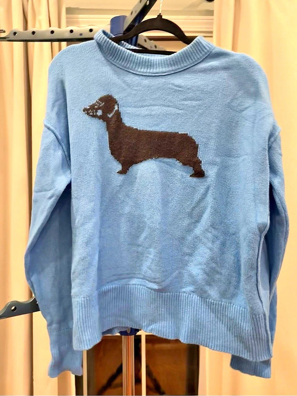 Aerie Dachshund Intarsia Knit Crewneck Sweater Blue XXS